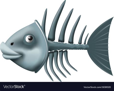 Fish skeleton Royalty Free Vector Image - VectorStock