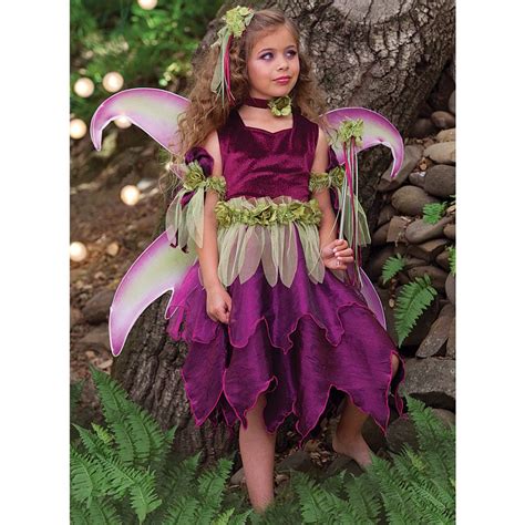 Sugar Plum Fairy | Sugar plum fairy costume, Fairy costume for girl, Fairy costume