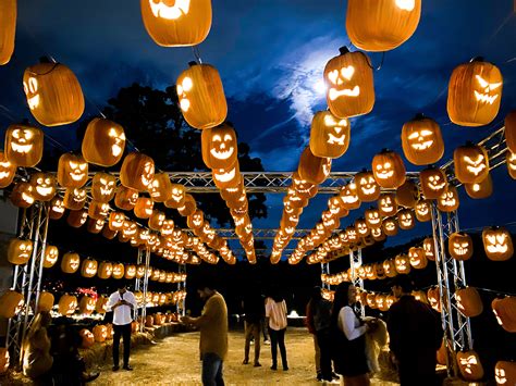 Pumpkin Nights at Howell Farms — Karina Discovers