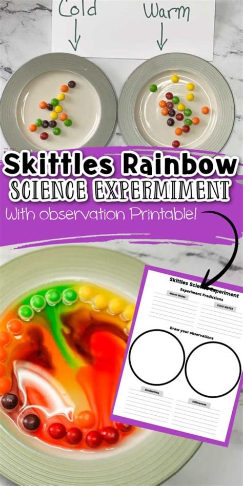 Rainbow Skittles Science Experiment