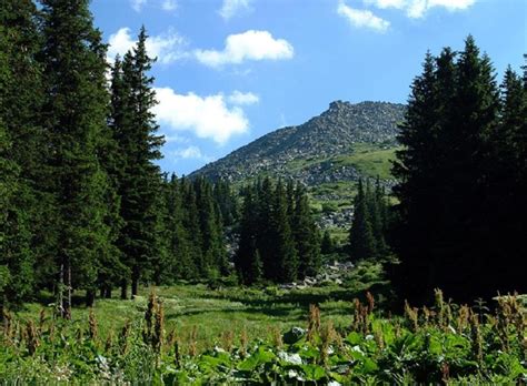 Vitosha Mountain - Full Day Tour from Sofia - 2024 | HAPPYtoVISIT.com