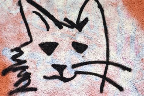 Free picture: cat, head, art, graffiti, wall