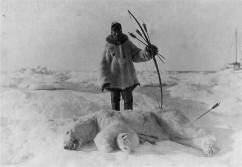 The perils of eating polar bear - Anchorage Daily News