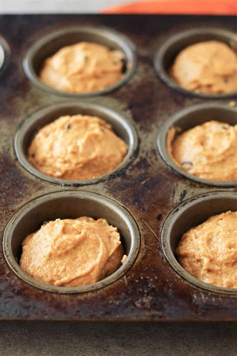 Healthy Pumpkin Protein Muffins (with protein powder, gluten-free ...