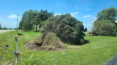 [PHOTOS] Storm damage in Northeast Wisconsin