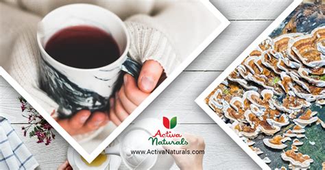 Turkey Tail Mushroom Tea – Activa Naturals