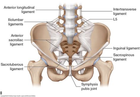 Sacroiliac Joint Injury