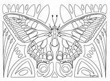5 Coloring Pages Butterflies Printable Symmetrical  sketch template