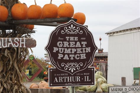 Great Pumpkin Patch 012 – Illinois Country Living Magazine