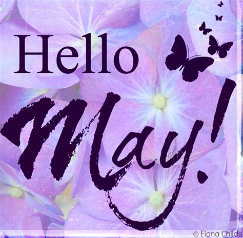 Hello May Quotes. QuotesGram