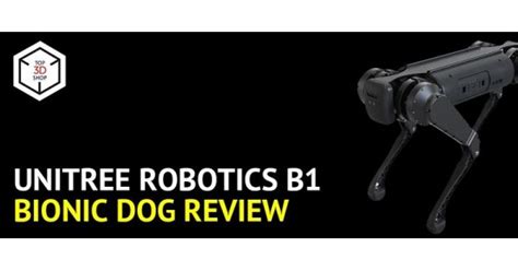 Unitree Robotics B1 Robot Dog Review | Top 3D Shop