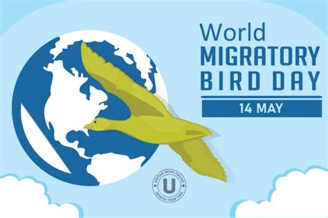 World Migratory Bird Day 2022: Current Theme, Quotes, Posters, Images, Messages, Slogans