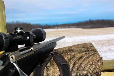 Top 10 Coyote Hunting Rifles (including price and specs) – Backfire