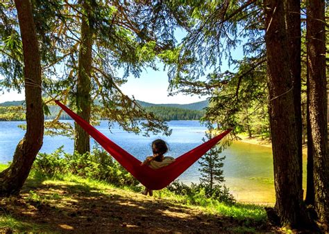 12 Best Camping Hammocks for Beginners (Budget to Premium) • GudGear