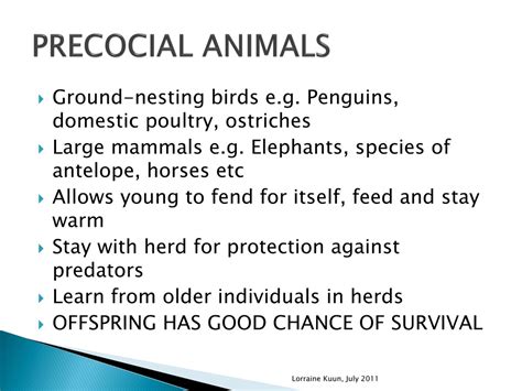 PPT - ANIMAL REPRODUCTIVE STRATEGIES PowerPoint Presentation, free download - ID:8820835