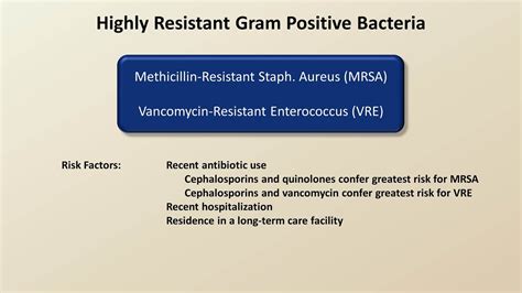 Antibiotics for Gram Positive Infections (Antibiotics - Lecture 4 ...