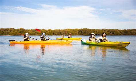 Adelaide Dolphin Kayaking Tour - Book Now | Experience Oz