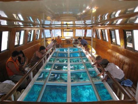 A Trip in the Red Sea by a Bottom Glass Boat in Sharm el Sheikh