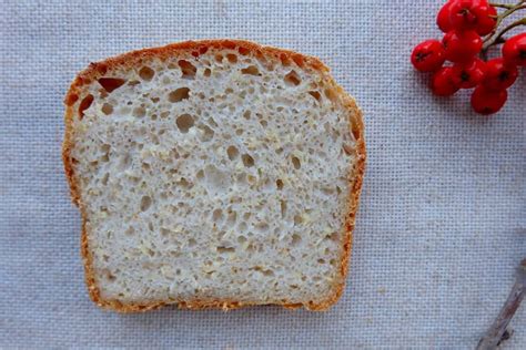 Millet bread recipe (no yeast) - TheBreadSheBakes