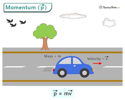 Momentum: Definition, Formula, and Example Problems