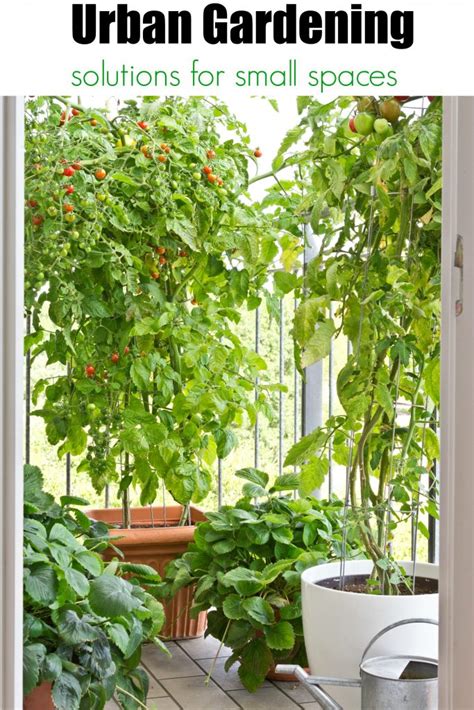 Urban Gardening Ideas for Small Spaces - Turning the Clock Back