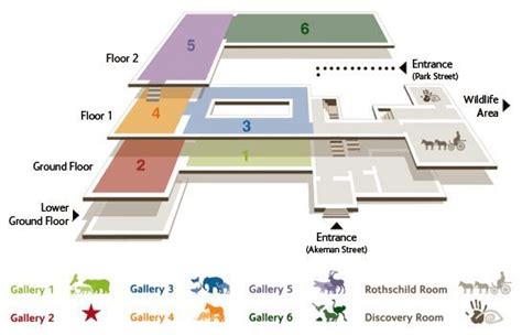 museum floor plan design - Google Search | Corporate Office ... Bubble Diagram Architecture ...