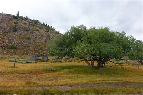 Rustic Cabin in Montana stock photo. Image of nature - 159665214