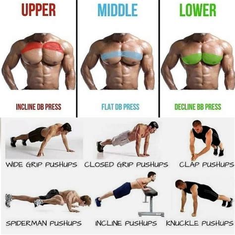 Chest Workout Home Routine / 10 Basic Push Ups Variations ! | Esercizi fitness, Esercizi di ...