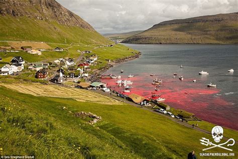 GeoGarage blog: Mass slaughter of pilot whales in the Faroe islands