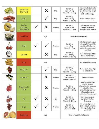 parrot diet chart - Google Search | Diet chart, Parrot diet, How to ...