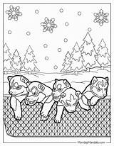 33 Husky Coloring Pages Free PDF Printables sketch template