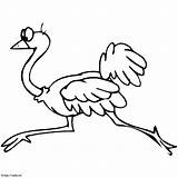 Ostrich Running coloring Page sketch template
