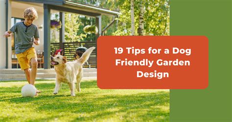 19 Dog Friendly Garden Design Ideas, Surfaces & How To Protect