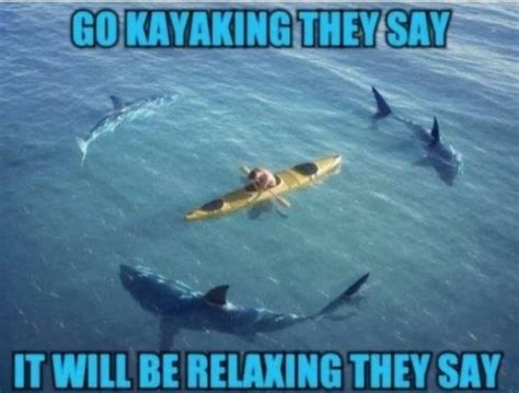 Shark Week Memes | Fun