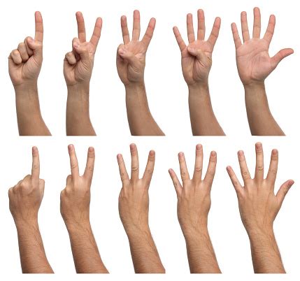 Set Of Counting Hands Isolated On White Background Stock Photo ...