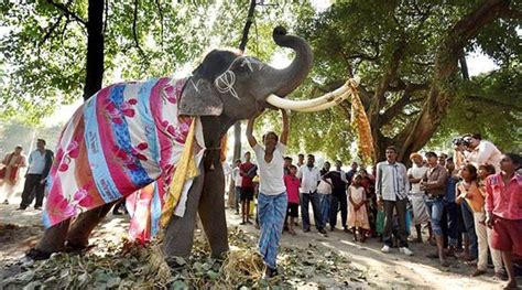 Sonepur cattle fair begins in Bihar | India News,The Indian Express