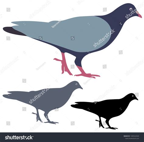 Pigeon Silhouette Isolated Stock Vector (Royalty Free) 1305522943 ...