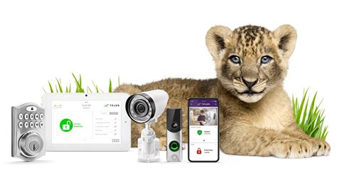 How Automated Smart Home Security Works | TELUS