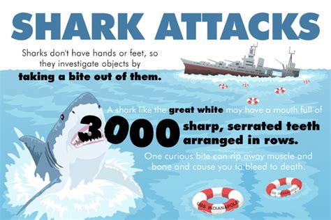 16 Remarkable Florida Shark Attacks Statistics - BrandonGaille.com