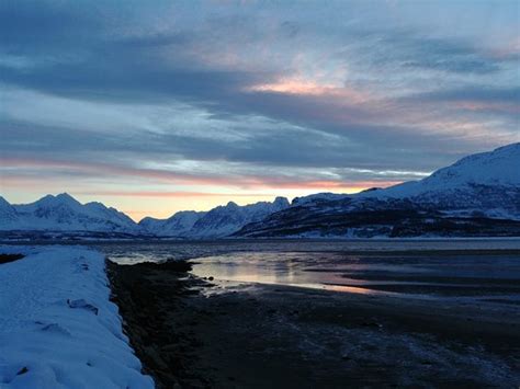 Tromso Fjords - 2020 All You Need to Know Before You Go (with Photos) - Tromso, Norway | TripAdvisor