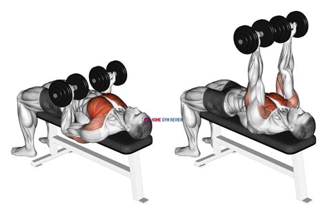 Dumbbell Reverse Bench Press - Home Gym Review