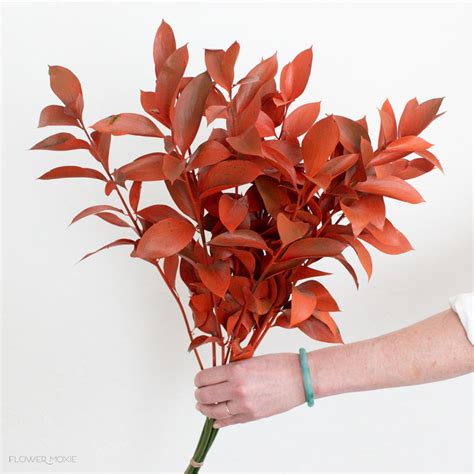 Orange Flowers | Bulk Fresh Flowers for DIY Brides — Flower Moxie