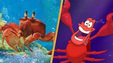 People’s minds blown after first look of Sebastian in live action Little Mermaid appears online