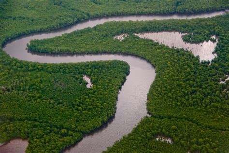 Winston Nanan Caroni Bird Sanctuary Boat Tour: Destination Trinidad and ...