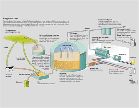 Decarbonizing Natural Gas: A Bridge to a Greener Future - Modern Hydrogen