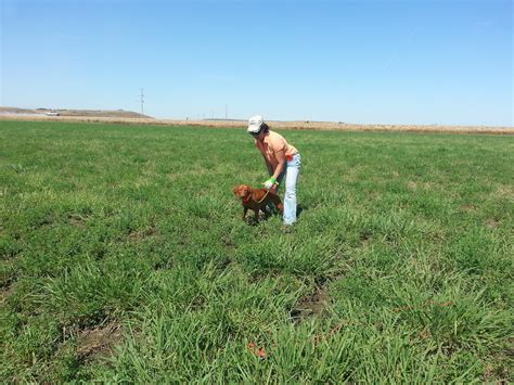 Living the life of Riley: Bird Training & Bird Intro!