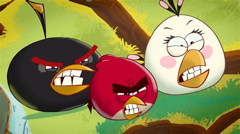 Angry Birds Toons - Season 1: Teaser - YouTube