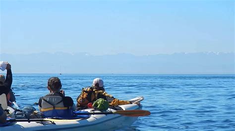 Kayaking with Orcas- San Juan Island, WA - YouTube