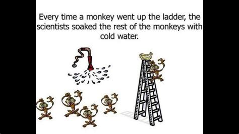 Five Monkeys and a Ladder - Famous Social Experiment - YouTube