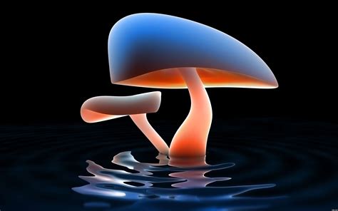 Infected Mushroom Wallpaper - WallpaperSafari